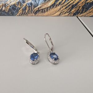 Elegant Silver and Blue Drop Earrings